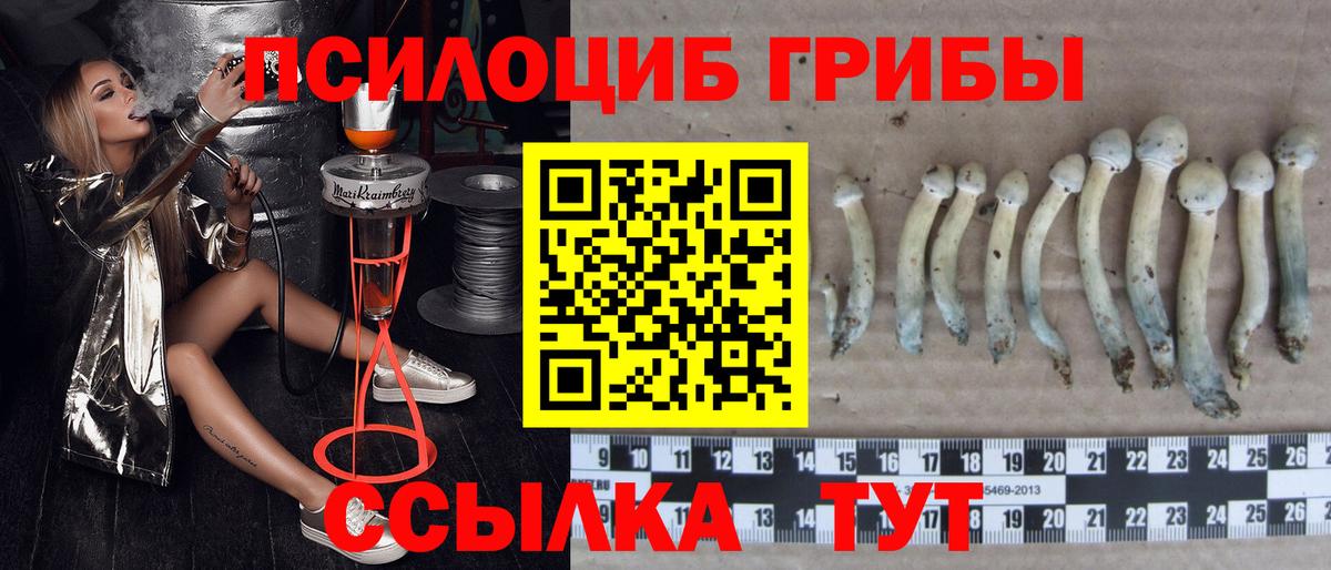 Галлюциногенные грибы Psilocybe  Псилоцибиновые грибы Psilocybe  Вход с VPN  Оренбург 